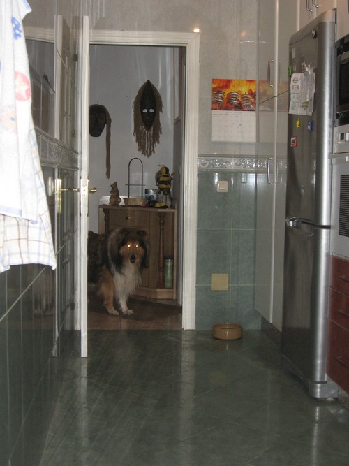img-8599.jpg