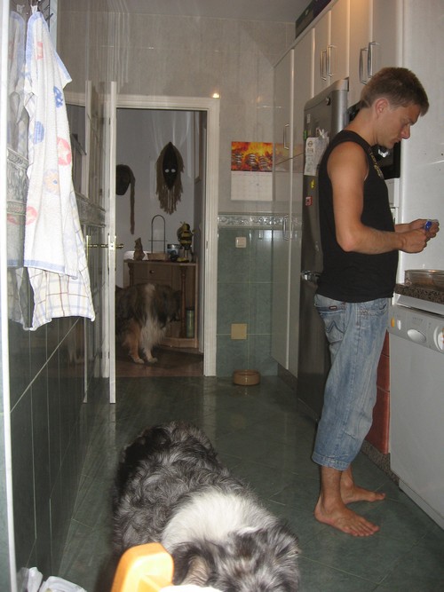 img-8600.jpg