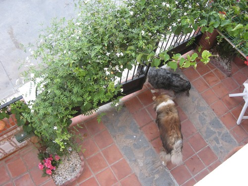 img-8617.jpg