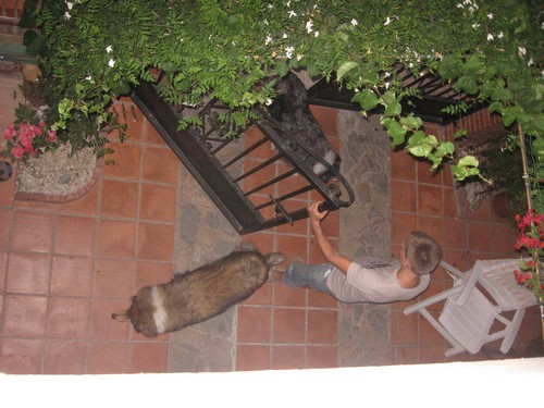 img-8684.jpg