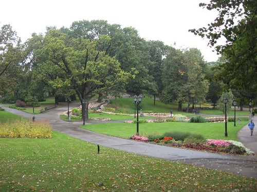 img-9602.jpg