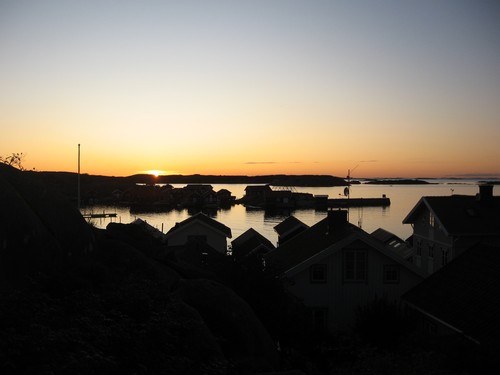 img-0313.jpg